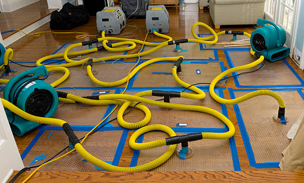 Professional Basement Flood Cleanup technician working in Lovejoy, GA